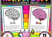 The anatomy coloring book