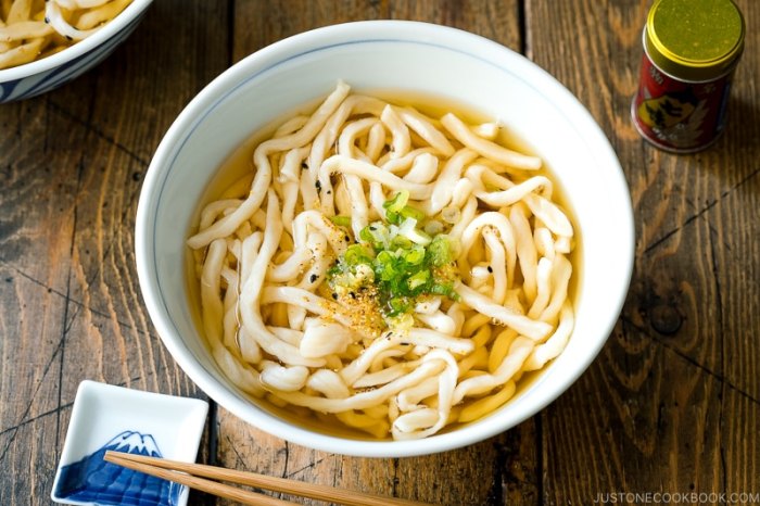 Soup udon noodles recipe