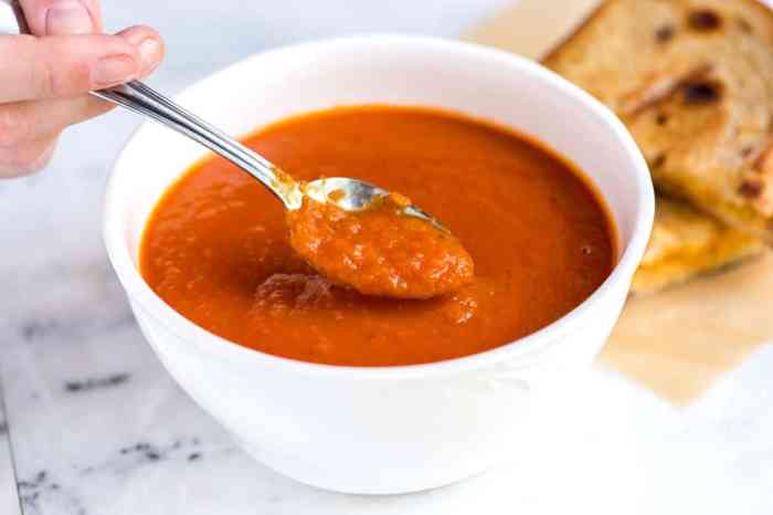 Tomato soup sauce recipe