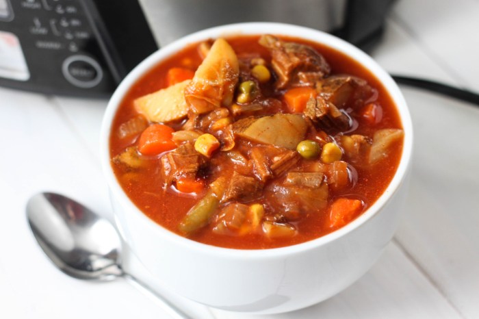 Beef soup crockpot recipe