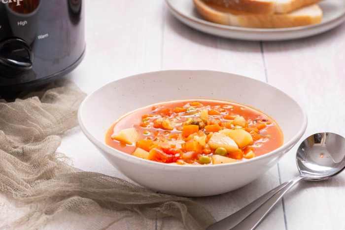 Best slow cooker vegetable soup recipes