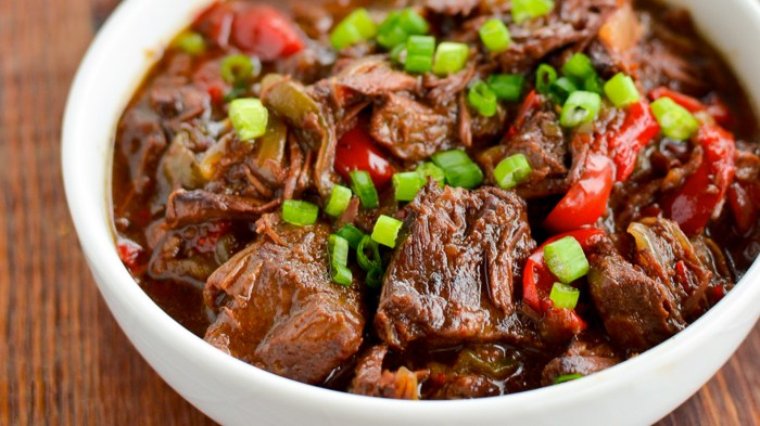 Slow cooker beef soup recipes